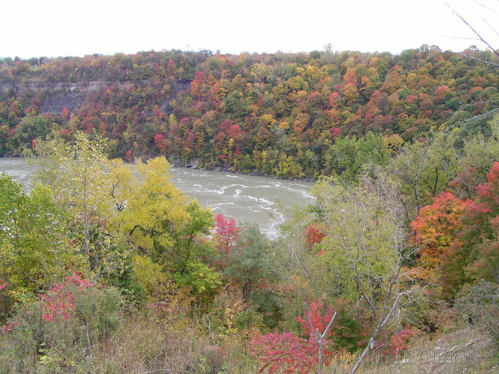 River gorge, near Niagara