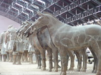 Terracotta horses