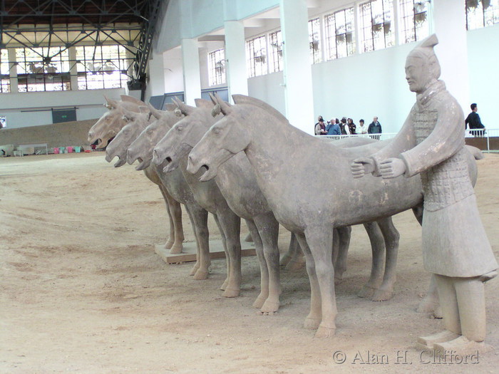 Terracotta horses