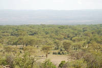View from our room at Lake Nakuru Lodge