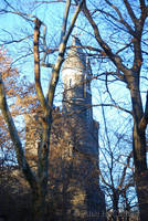 Belvedere Tower