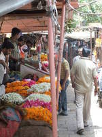 Flower stall at the corner of Ram Ganj Bazaar and Hawa Mahal Bazaar