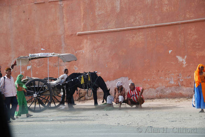 Horse and cart near the Ghat Gate, Pink City, Jaipur