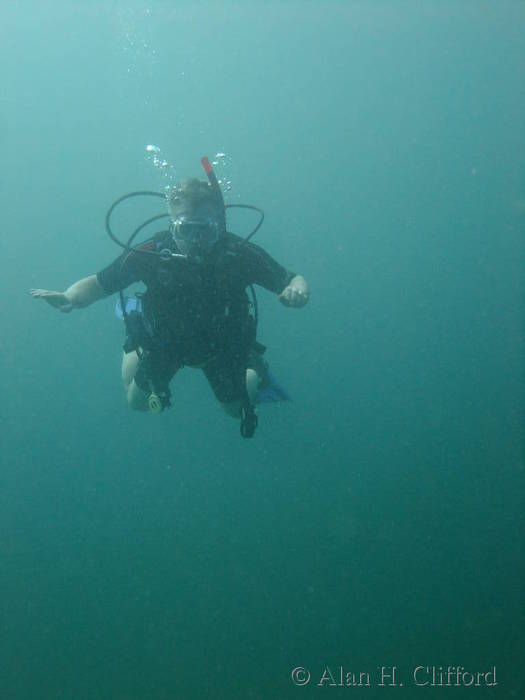Alan diving