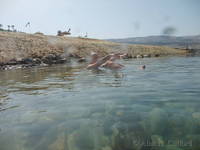Margaret in the Dead Sea