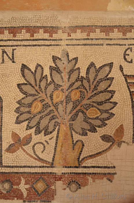 Mosaic at the Archaeological Park