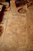 Mosaic in the Hippolytus Hall