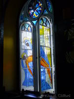 Window in the Minor Basilica of the Immaculate Conception
