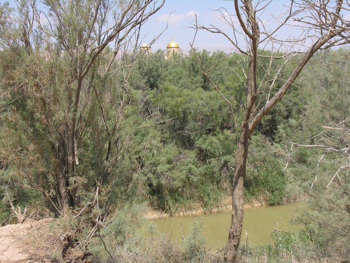 Greek Orthodox Church (looking over Israel)