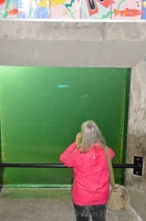 Margaret at the fish ladder
