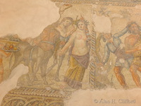 Mosaic in the House of Aion