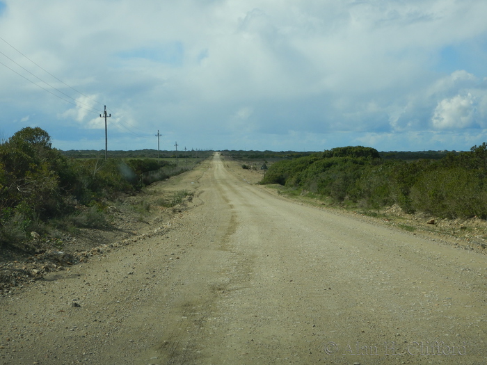 Road to Cape Agulhas