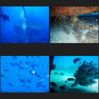 Scuba Diving, October, November, December