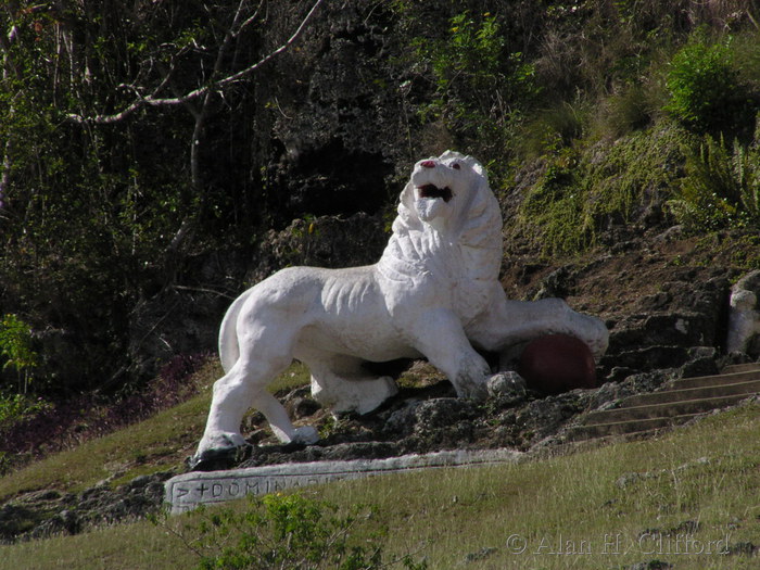 White lion near Gun Hill.