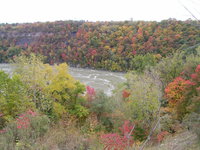 River gorge, near Niagara