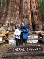 Margaret, Alan and the General Sherman tree