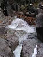 Tokopah valley trail