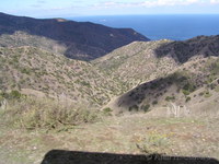 Views from the airport road, Catalina