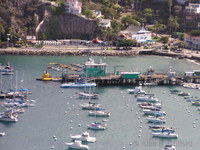 Avalon harbour