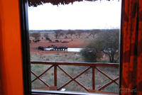 View from our hotel room at Ngutuni Lodge
