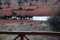 View from our hotel room at Ngutuni Lodge