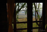 View from room at Mara Serena Lodge