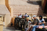 Waiting to ascend to Amber Fort by elephant