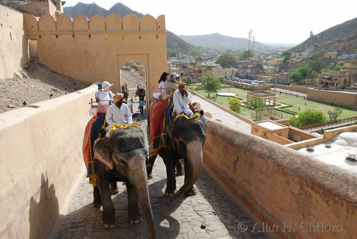 Ascent to Amber Fort on the elephants