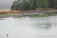 Rajbagh lake at Ranthambhore