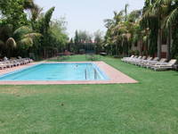 Swimming pool at the Ranthambhore Regency hotel