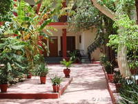 In the garden at the Ranthambhore Regency hotel