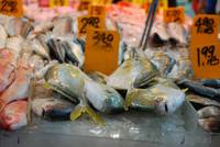 Fish in Chinatown