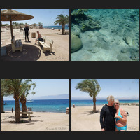 Aqaba South Beach between dives