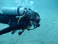 Benjamin diving