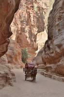Horse and carriage in the Siq