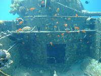 Tank underwater