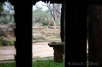 View from room at Samburu Game Lodge