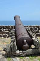 Cannon at Fort Rodney