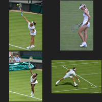 Wimbledon Selection