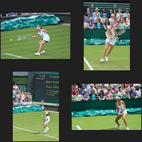 Wimbledon, 2011