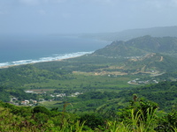 View from Cherry Tree Hill