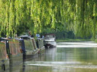 Boats by the Cheshire Cat