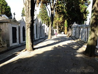 Prazeres Cemetery