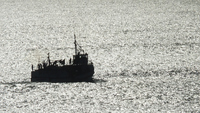 Fishing Boat Coming Home