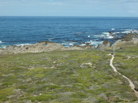 View from Danger Point Lighthouse
