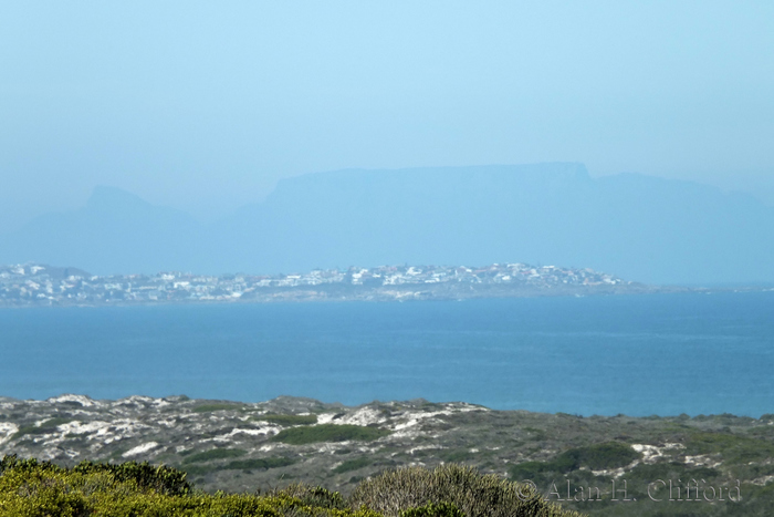 View of Table Mountain from the West Coast National Park
