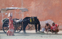 A women passes a horse and cart near the Ghat Gate, Pink City, Jaipur